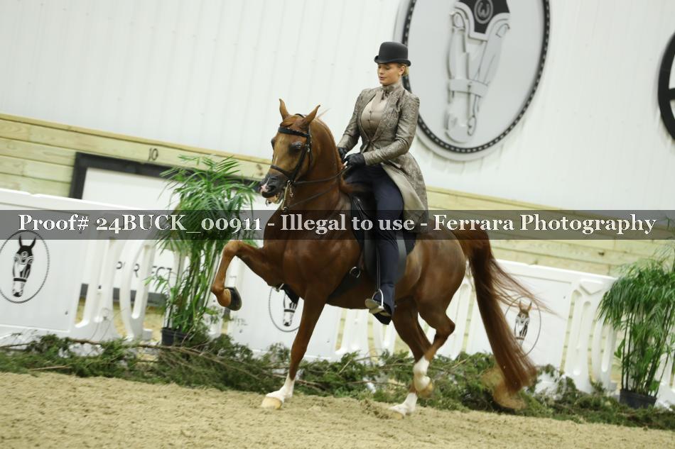 Proof 24BUCK_00911
