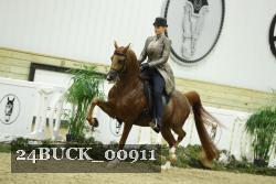 24BUCK_00911 proof