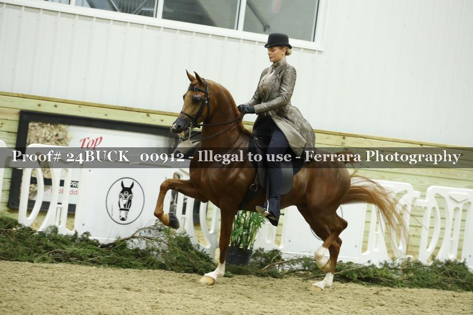 Proof 24BUCK_00912
