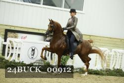 24BUCK_00912 proof