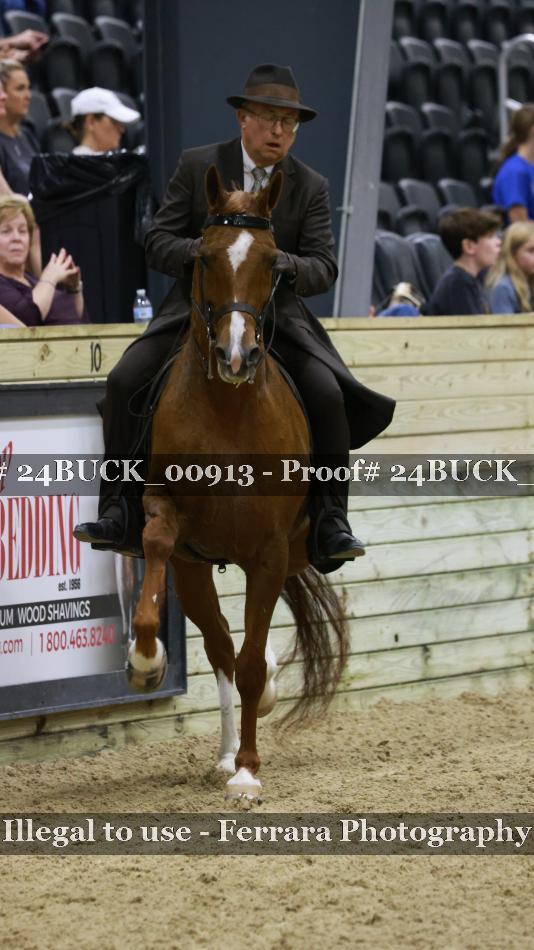 Proof 24BUCK_00913