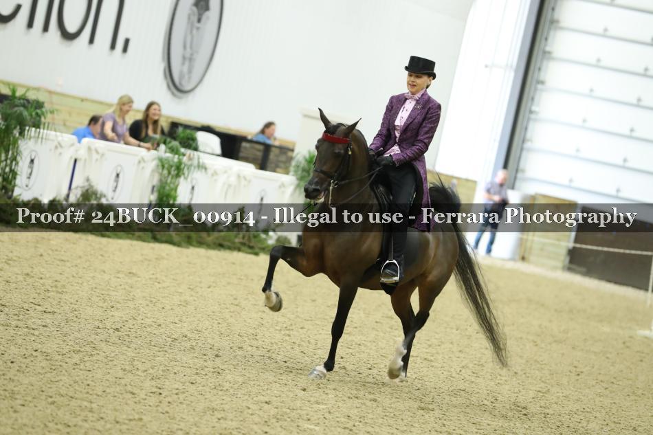 Proof 24BUCK_00914