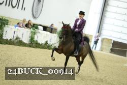 24BUCK_00914 proof