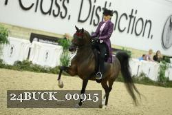 24BUCK_00915 proof
