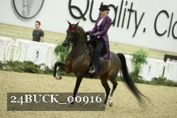 24BUCK_00916 proof