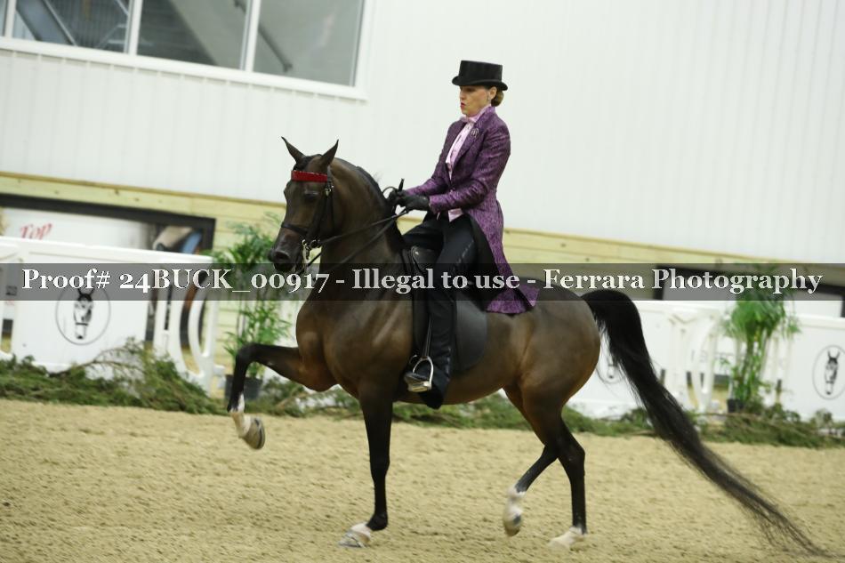 Proof 24BUCK_00917
