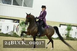 24BUCK_00917 proof
