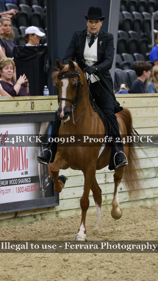 Proof 24BUCK_00918
