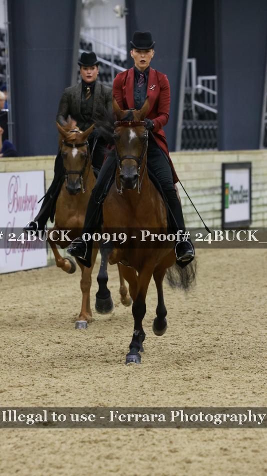 Proof 24BUCK_00919