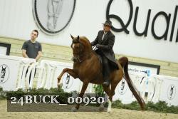 24BUCK_00920 proof