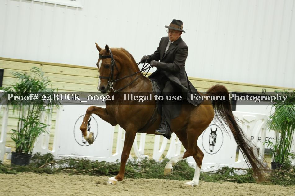 Proof 24BUCK_00921