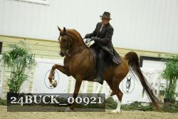 24BUCK_00921 proof