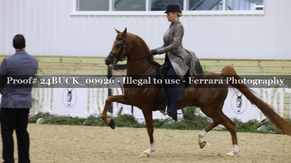 Proof 24BUCK_00926