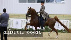 24BUCK_00926 proof