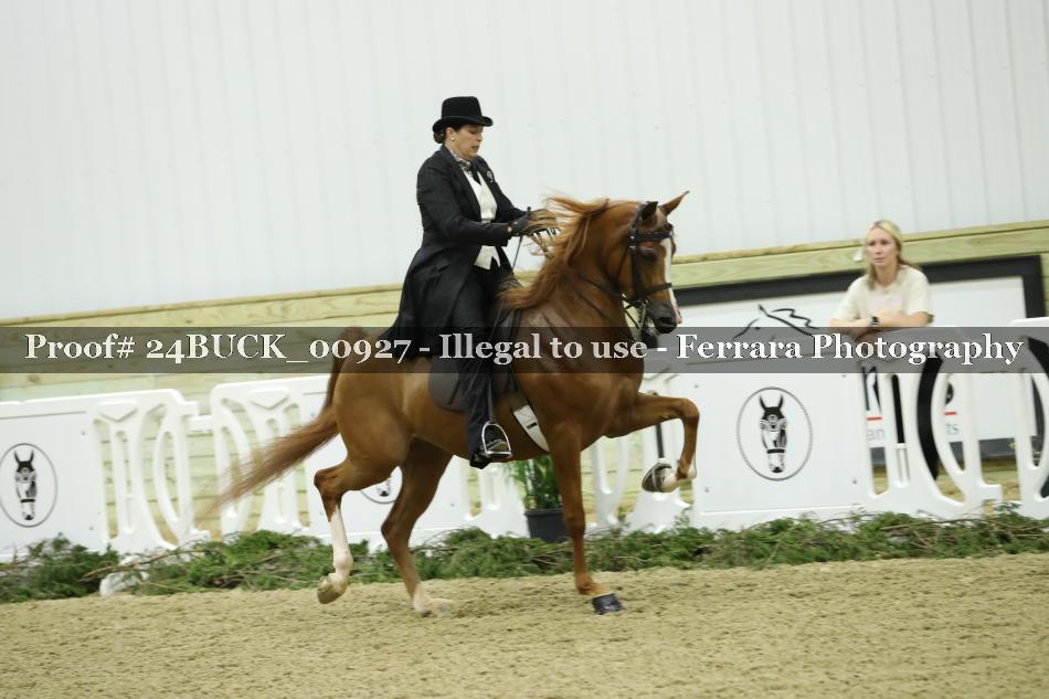 Proof 24BUCK_00927