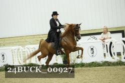24BUCK_00927 proof