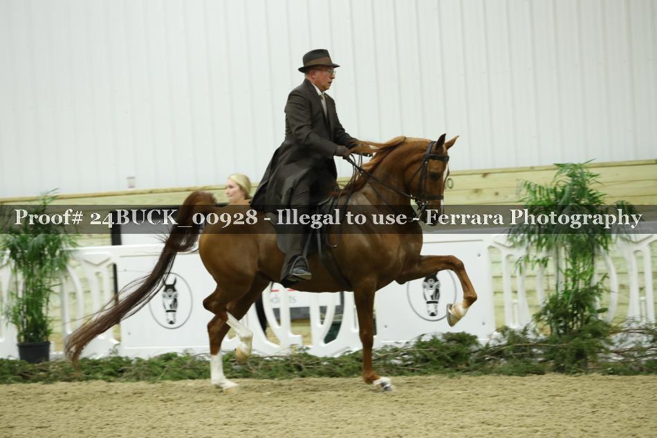 Proof 24BUCK_00928