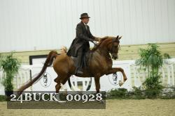 24BUCK_00928 proof