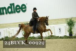 24BUCK_00929 proof