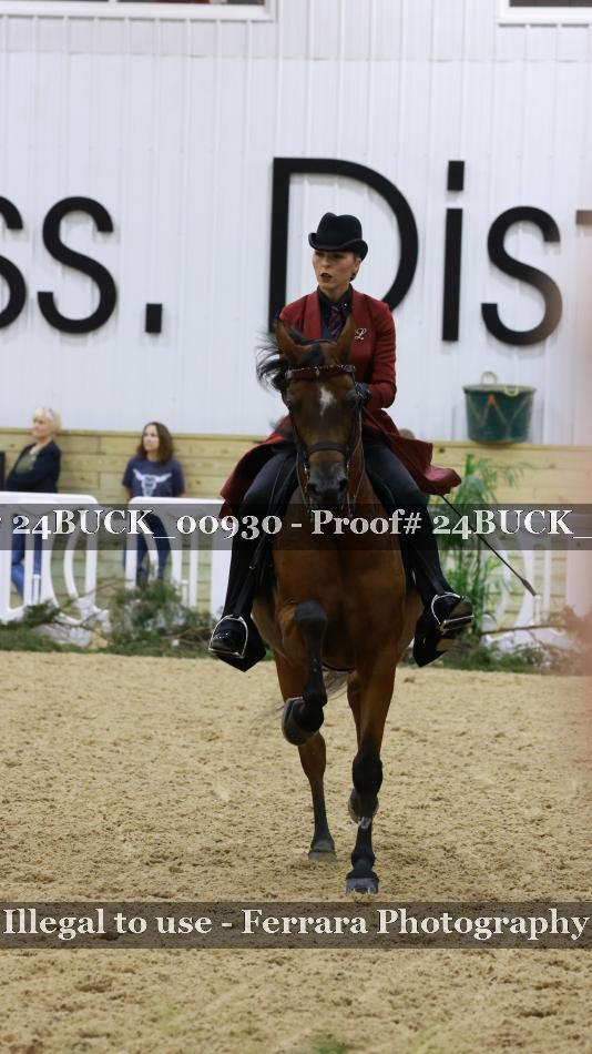 Proof 24BUCK_00930