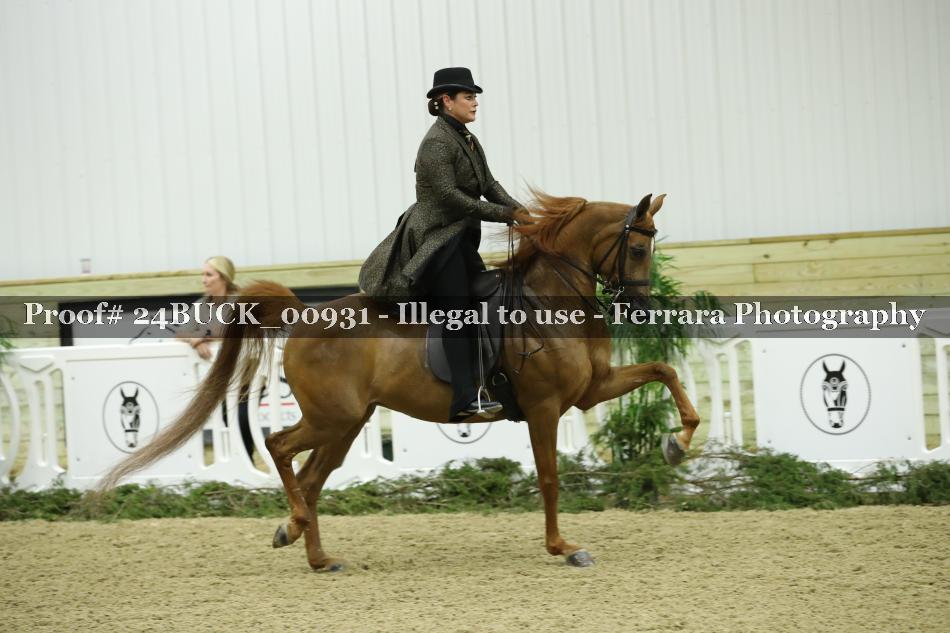 Proof 24BUCK_00931