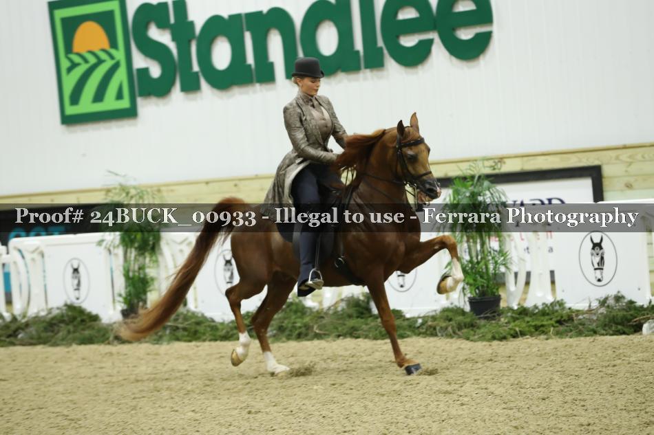 Proof 24BUCK_00933