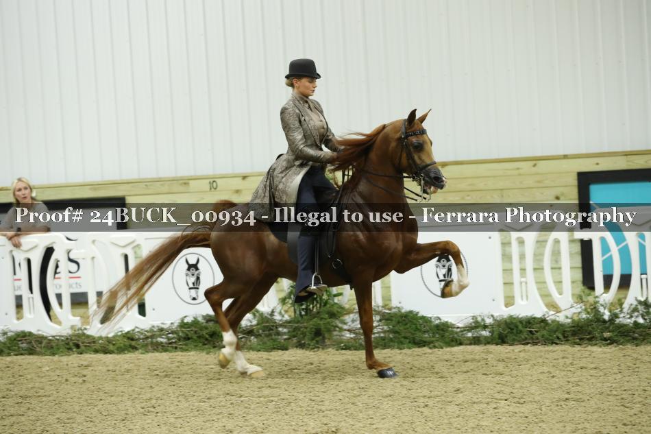 Proof 24BUCK_00934