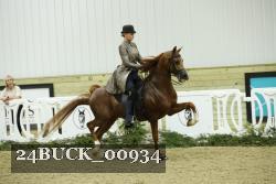 24BUCK_00934 proof