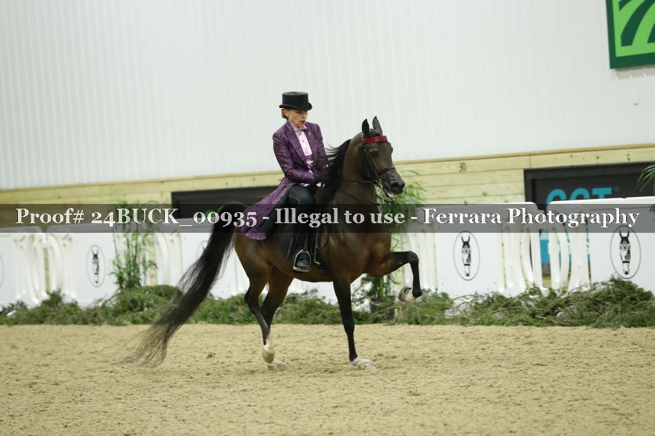 Proof 24BUCK_00935