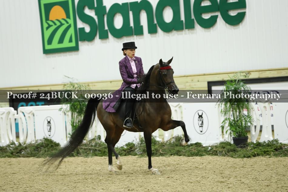 Proof 24BUCK_00936