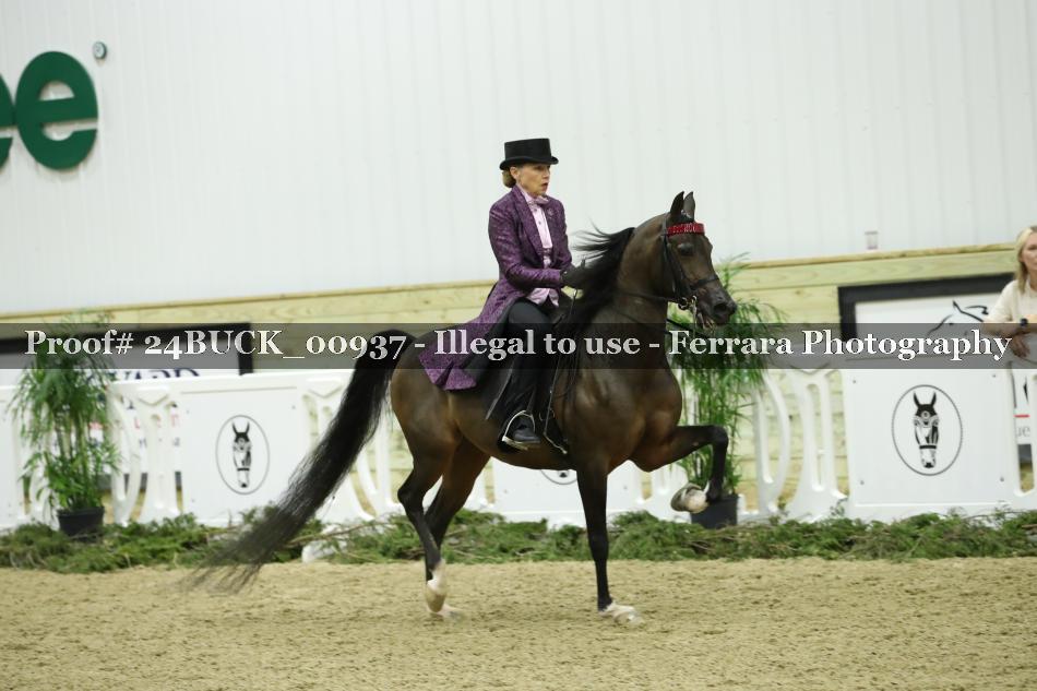 Proof 24BUCK_00937