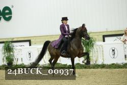24BUCK_00937 proof