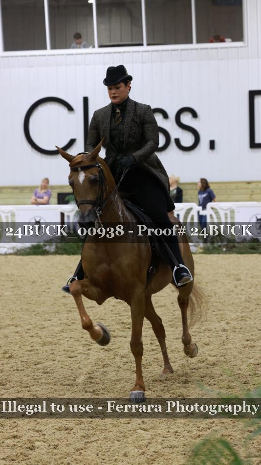 Proof 24BUCK_00938