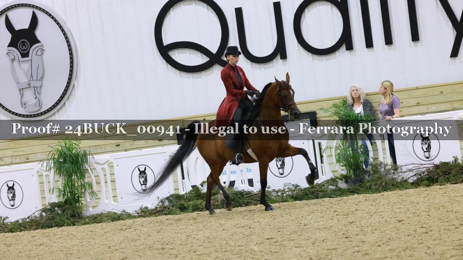 Proof 24BUCK_00941
