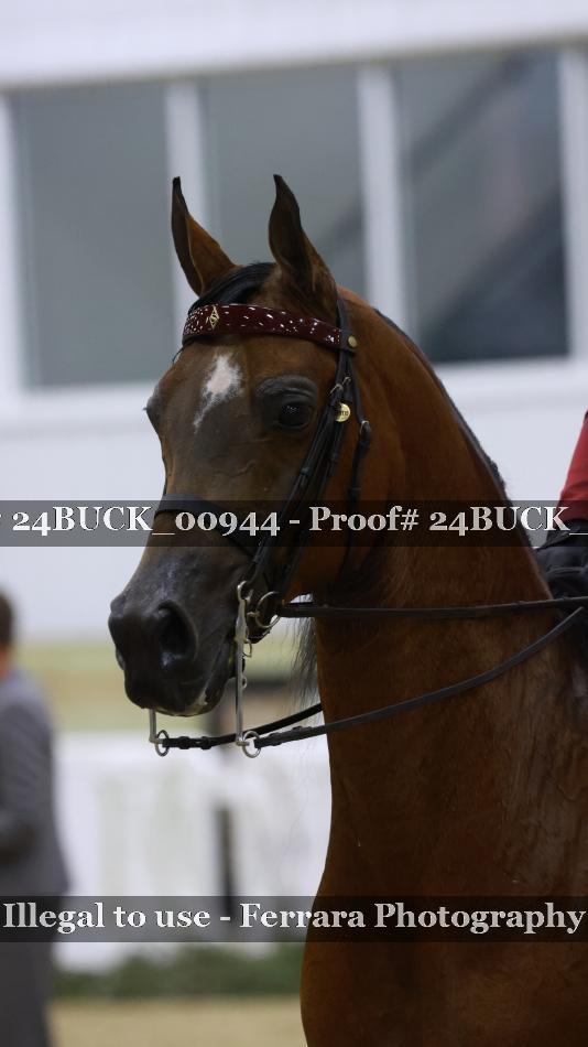 Proof 24BUCK_00944