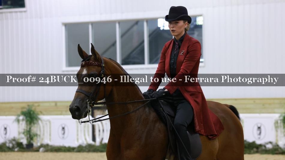 Proof 24BUCK_00946