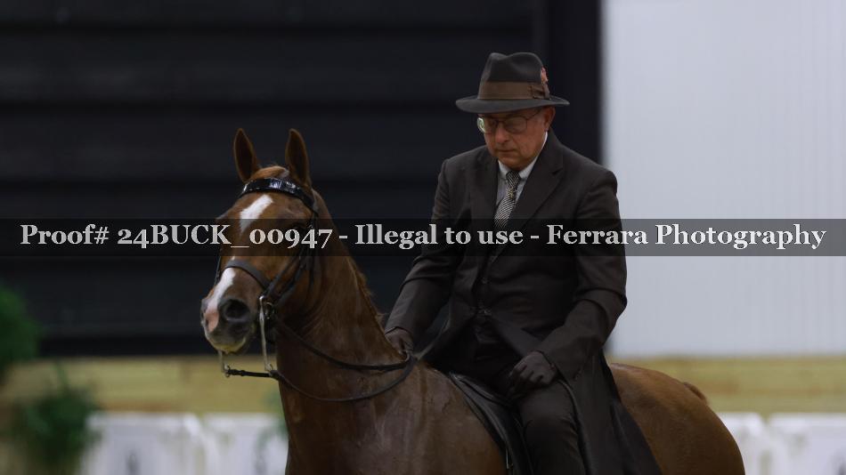 Proof 24BUCK_00947