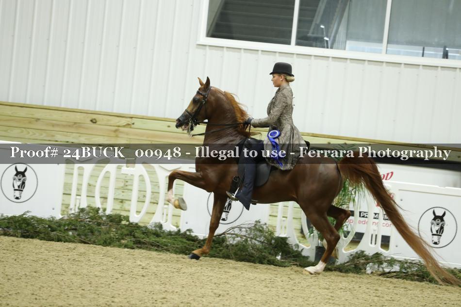 Proof 24BUCK_00948