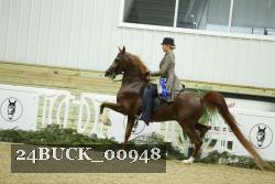 24BUCK_00948 proof