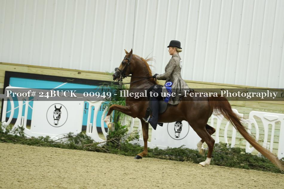 Proof 24BUCK_00949