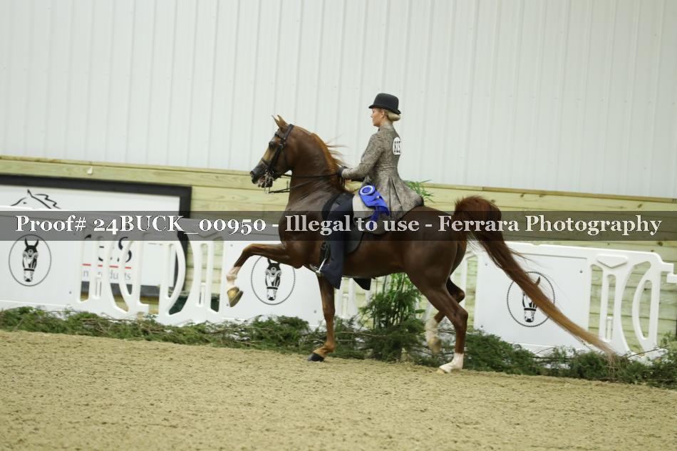 Proof 24BUCK_00950