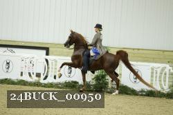 24BUCK_00950 proof