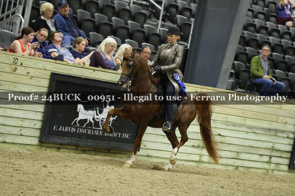 Proof 24BUCK_00951