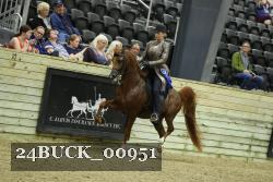 24BUCK_00951 proof