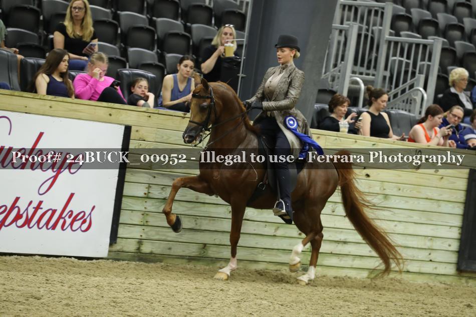 Proof 24BUCK_00952
