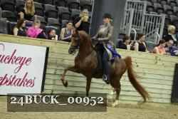 24BUCK_00952 proof
