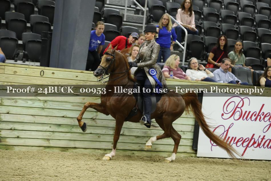 Proof 24BUCK_00953