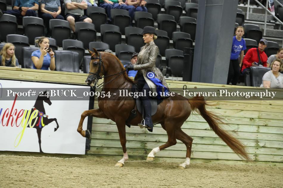 Proof 24BUCK_00954