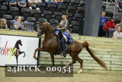 24BUCK_00954 proof