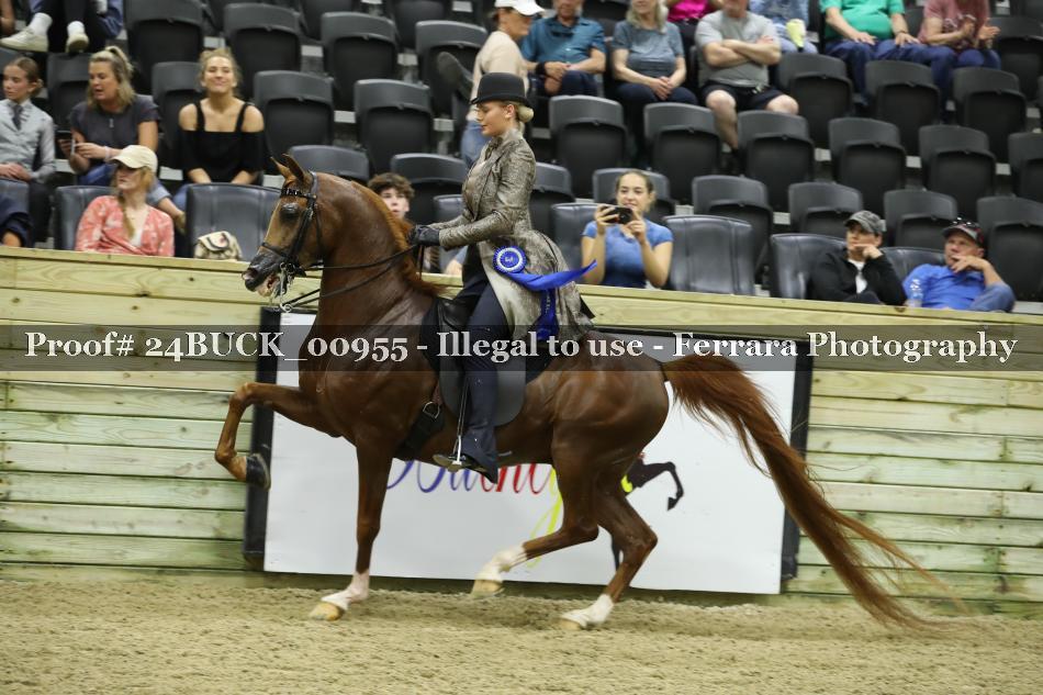 Proof 24BUCK_00955